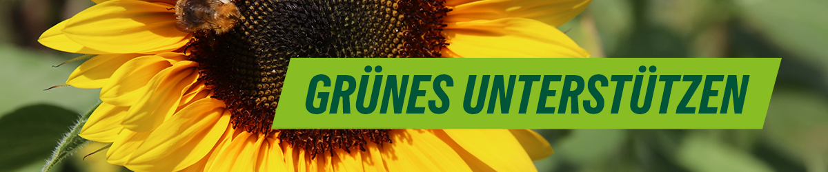 Gruene Seevetal unterstützen und spenden