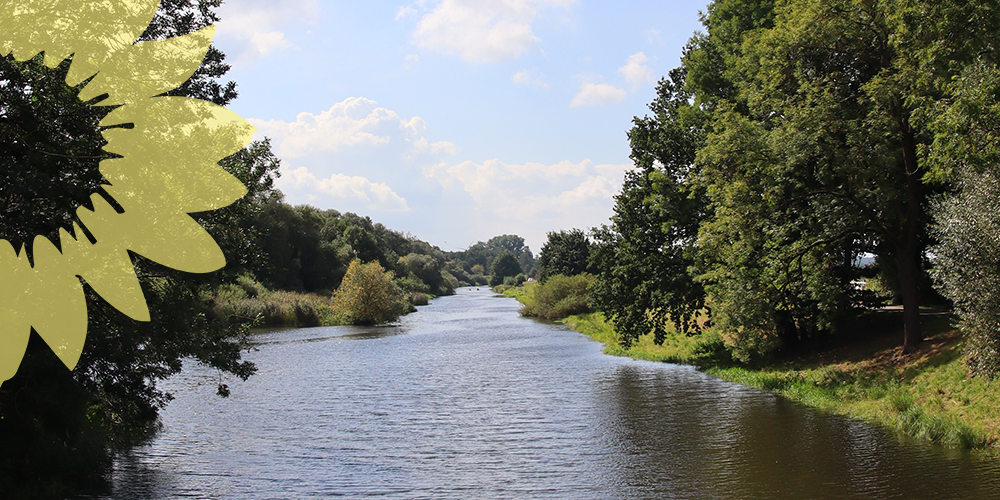 Seevetal, Seeveniederung, Ansicht der Ufer der Seeve