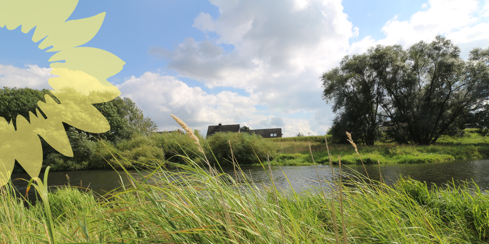 Seevetal, Ortsteil Wuhlenburg, Ansicht des Ufers der Seeve