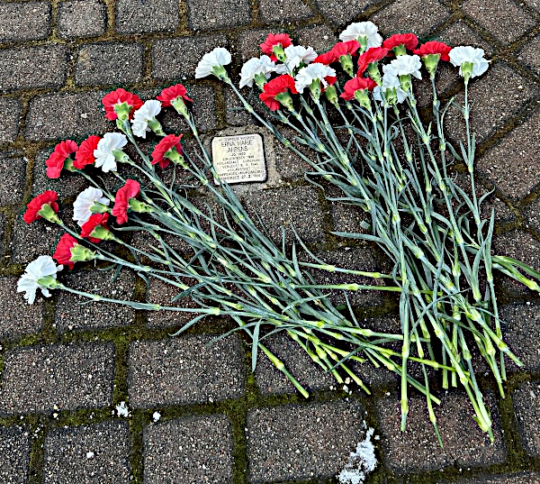 Am Stolperstein abgelegte Nelken