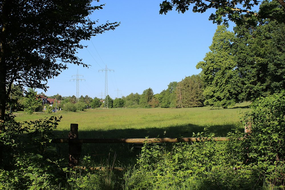 Blick auf den Grünzug am Göhlenbach Blick auf den Grünzug am Göhlenbach